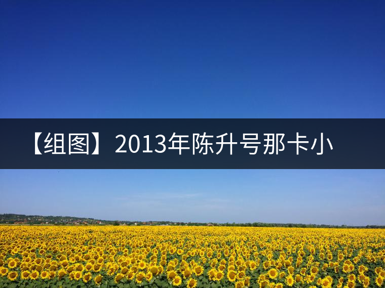 【組圖】2013年陳升號那卡小餅開湯 【組圖】2013年陳升號那卡小餅開湯