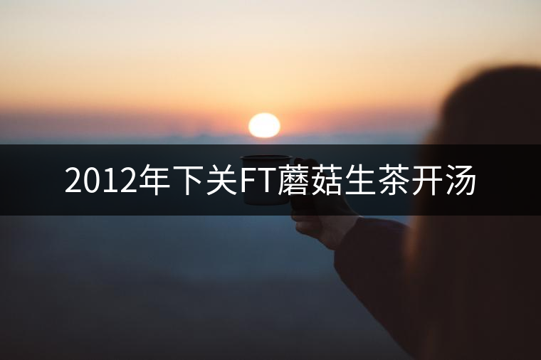 2012年下關FT蘑菇生茶開湯 2012年下關FT蘑菇生茶開湯