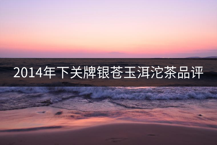 2014年下關牌銀蒼玉洱沱茶品評 2014年下關牌銀蒼玉洱沱茶品評