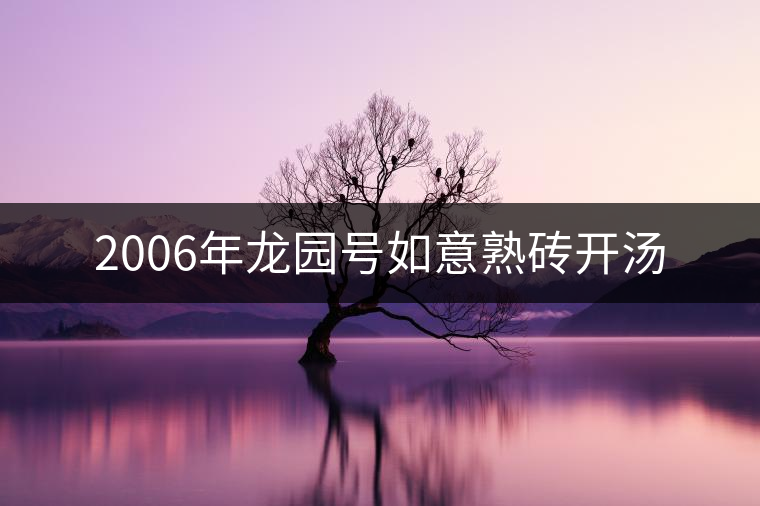 2006年龍園號(hào)如意熟磚開(kāi)湯 2006年龍園號(hào)如意熟磚開(kāi)湯