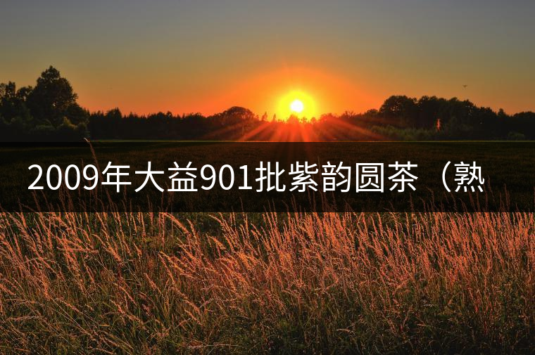 2009年大益901批紫韻圓茶(熟茶)開(kāi)湯 2009年大益901批紫韻圓茶(熟茶)開(kāi)湯