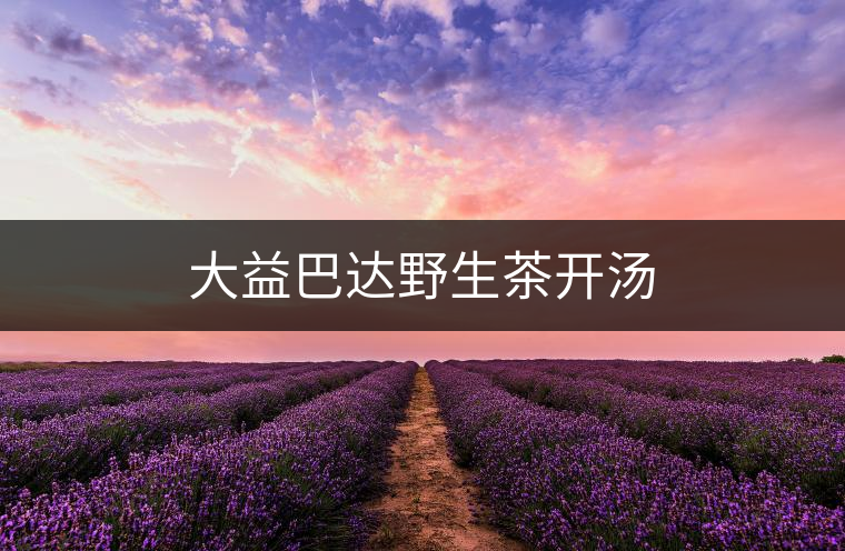 大益巴達(dá)野生茶開(kāi)湯