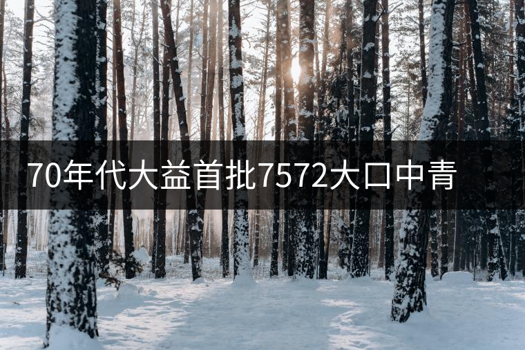 70年代大益首批7572大口中青餅開湯 70年代大益首批7572大口中青餅開湯