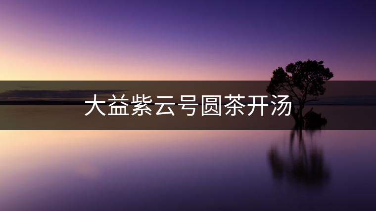 大益紫云號(hào)圓茶開(kāi)湯 大益紫云號(hào)圓茶開(kāi)湯