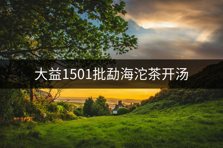 大益1501批勐海沱茶開(kāi)湯