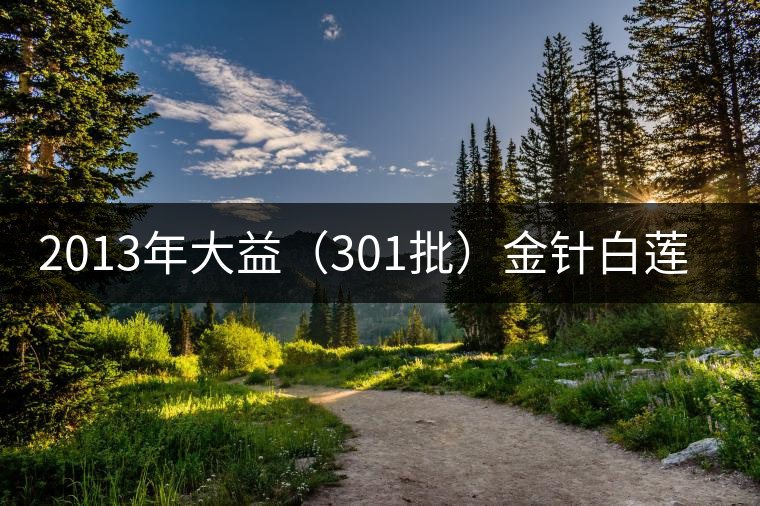 2013年大益(301批)金針白蓮開湯品鑒 2013年大益(301批)金針白蓮開湯品鑒
