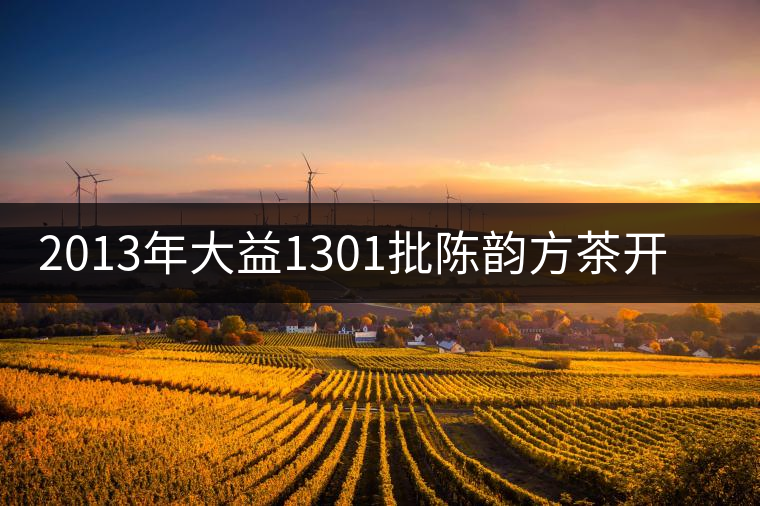 2013年大益1301批陳韻方茶開湯品鑒 2013年大益1301批陳韻方茶開湯品鑒