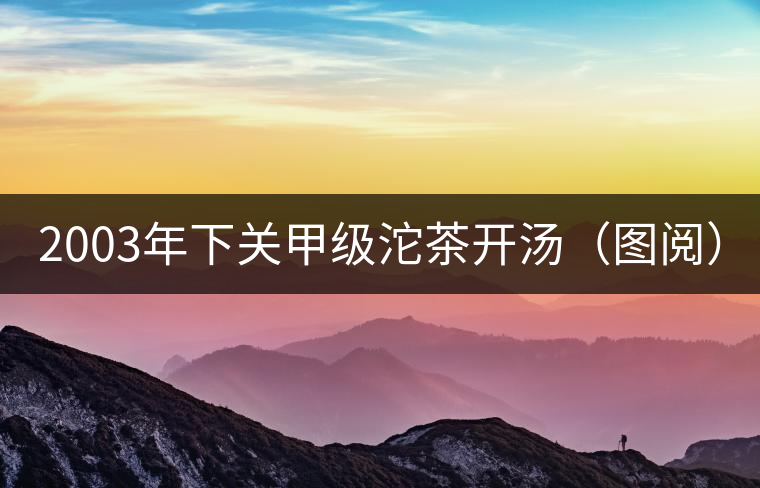 2003年下關(guān)甲級沱茶開湯(圖閱) 2003年下關(guān)甲級沱茶開湯(圖閱)