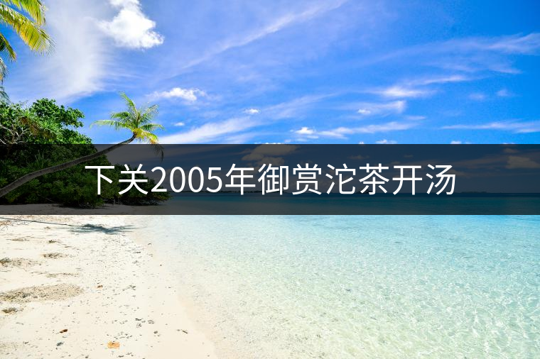 下關2005年御賞沱茶開湯