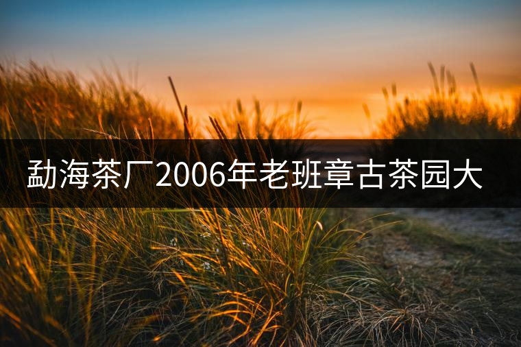 勐海茶廠2006年老班章古茶園大樹(shù)茶開(kāi)湯 勐海茶廠2006年老班章古茶園大樹(shù)茶開(kāi)湯