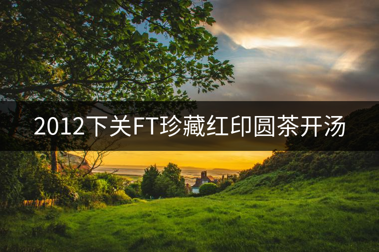2012下關FT珍藏紅印圓茶開湯 2012下關FT珍藏紅印圓茶開湯