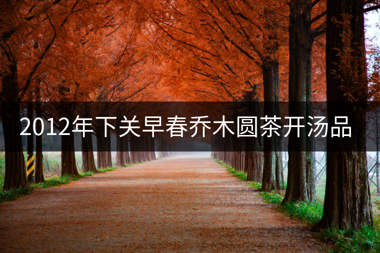 2012年下關(guān)早春喬木圓茶開湯品鑒 2012年下關(guān)早春喬木圓茶開湯品鑒