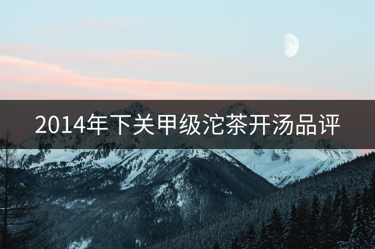 2014年下關(guān)甲級沱茶開湯品評 2014年下關(guān)甲級沱茶開湯品評