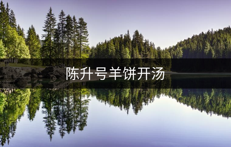陳升號(hào)羊餅開(kāi)湯 陳升號(hào)羊餅開(kāi)湯