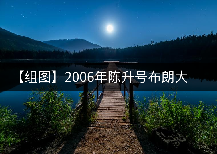 【組圖】2006年陳升號布朗大樹開湯