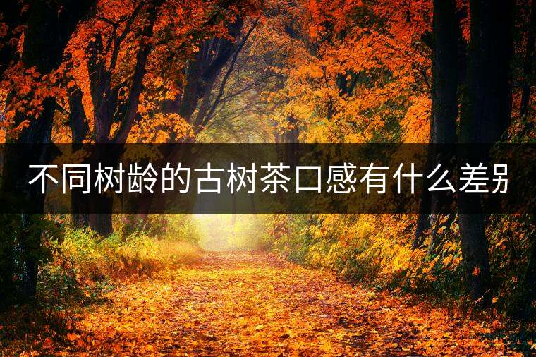 不同樹(shù)齡的古樹(shù)茶口感有什么差別？