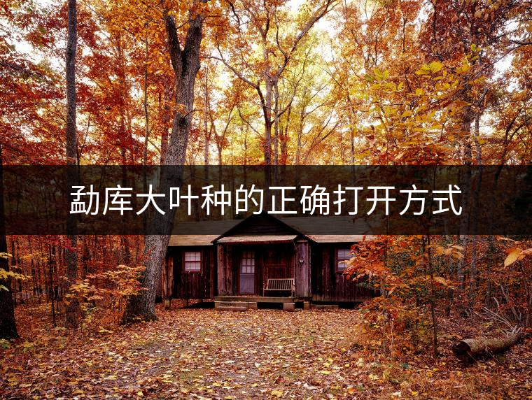 勐庫大葉種的正確打開方式