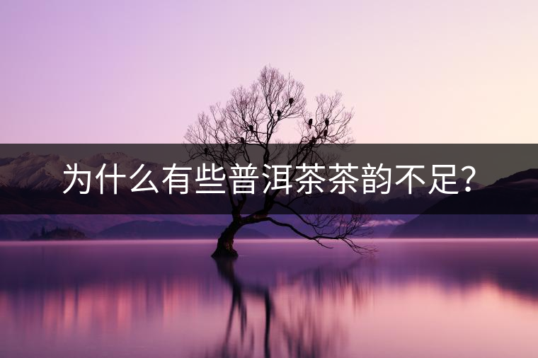 為什么有些普洱茶茶韻不足？
