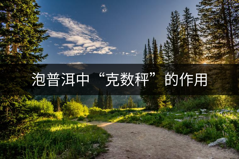 泡普洱中“克數(shù)秤”的作用