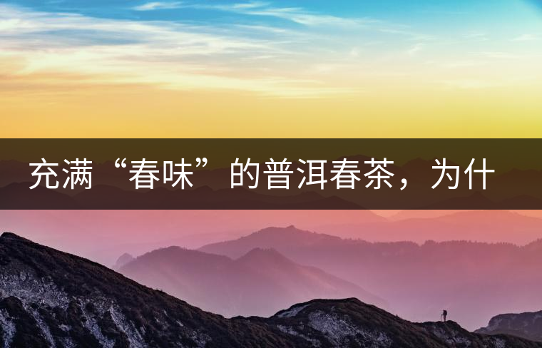 充滿“春味”的普洱春茶，為什么值得期待？