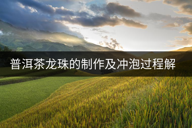普洱茶龍珠的制作及沖泡過程解析 普洱茶龍珠的制作及沖泡過程解析