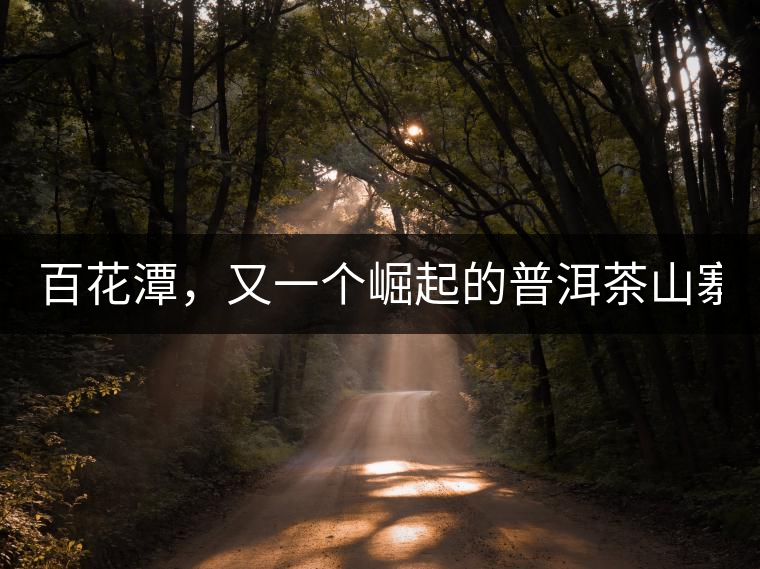 百花潭，又一個(gè)崛起的普洱茶山寨！