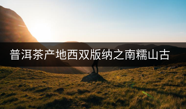普洱茶產地西雙版納之南糯山古茶山 普洱茶產地西雙版納之南糯山古茶山