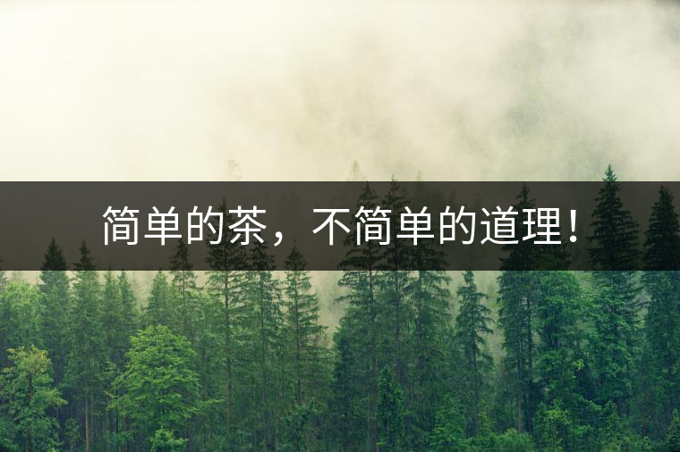 簡(jiǎn)單的茶，不簡(jiǎn)單的道理！