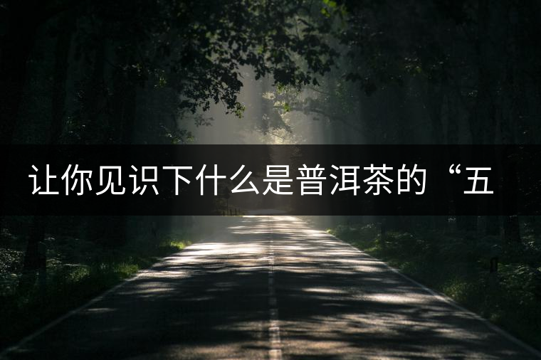 讓你見識下什么是普洱茶的“五六七八九
