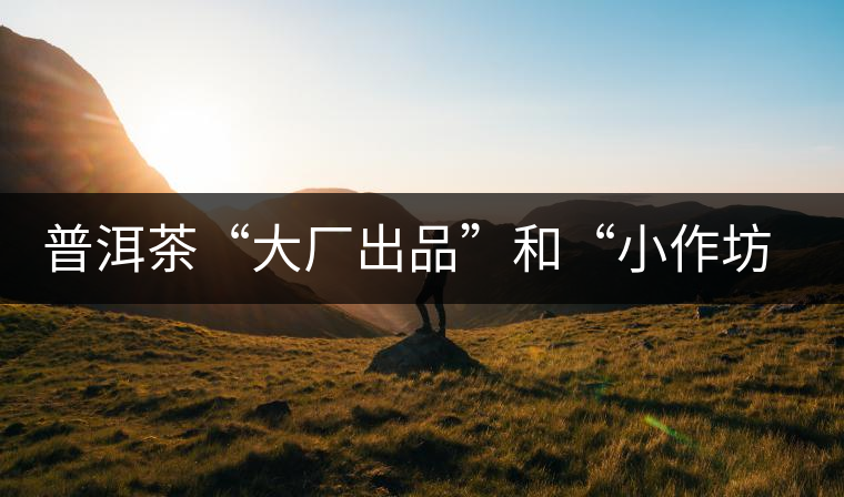 普洱茶“大廠出品”和“小作坊”，哪一個(gè)更值得購買？