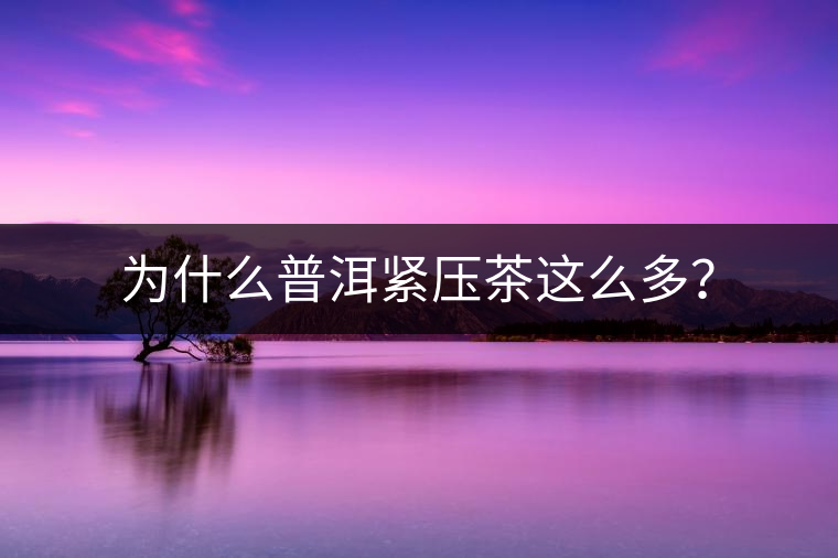 為什么普洱緊壓茶這么多？