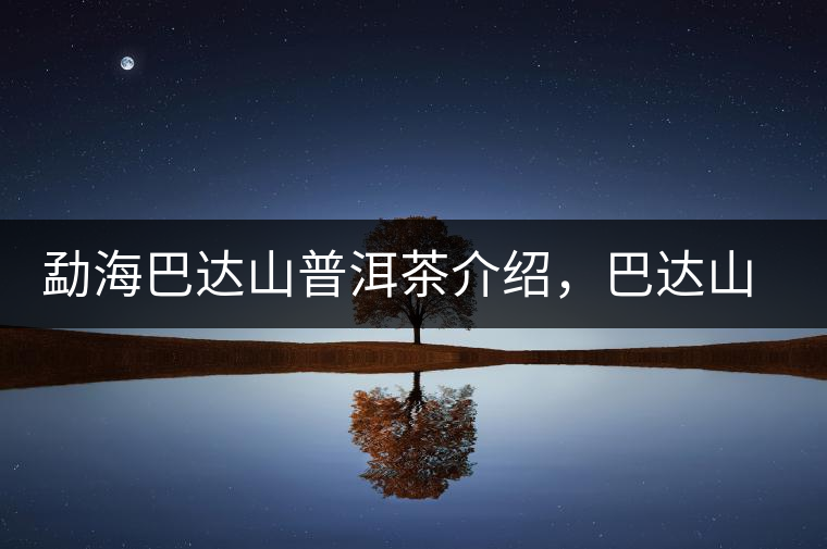 勐海巴達(dá)山普洱茶介紹,巴達(dá)山古樹(shù)茶口感特點(diǎn) 勐海巴達(dá)山普洱茶介紹,巴達(dá)山古樹(shù)茶口感特點(diǎn)