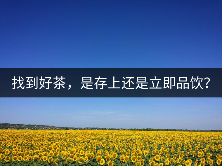 找到好茶，是存上還是立即品飲？