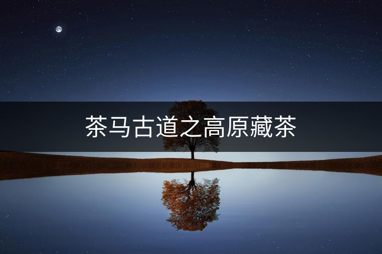 茶馬古道之高原藏茶 茶馬古道之高原藏茶