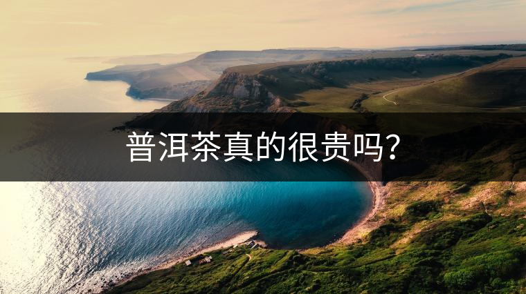 普洱茶真的很貴嗎? 普洱茶真的很貴嗎?