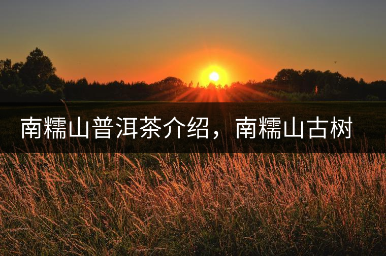 南糯山普洱茶介紹,南糯山古樹茶口感特點(diǎn) 南糯山普洱茶介紹,南糯山古樹茶口感特點(diǎn)