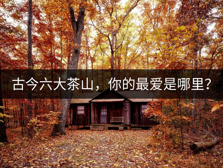 古今六大茶山，你的最愛是哪里？