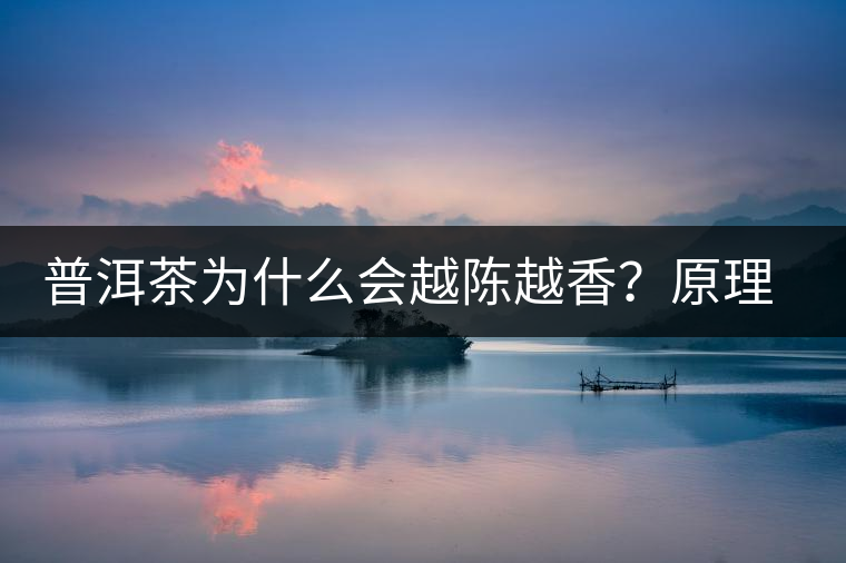 普洱茶為什么會(huì)越陳越香？原理是什么？