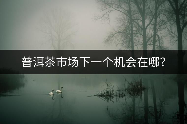普洱茶市場下一個(gè)機(jī)會(huì)在哪？