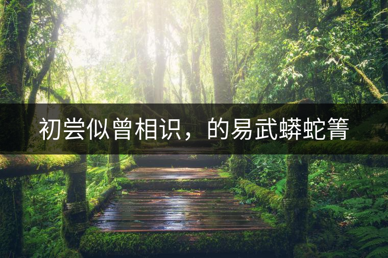 初嘗似曾相識,的易武蟒蛇箐 初嘗似曾相識,的易武蟒蛇箐