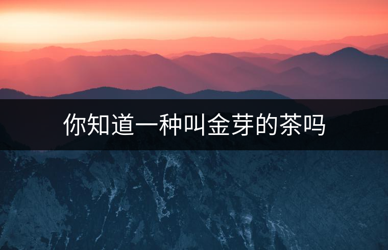 你知道一種叫金芽的茶嗎