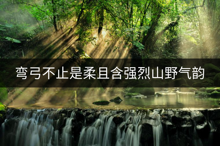彎弓不止是柔且含強(qiáng)烈山野氣韻 彎弓不止是柔且含強(qiáng)烈山野氣韻