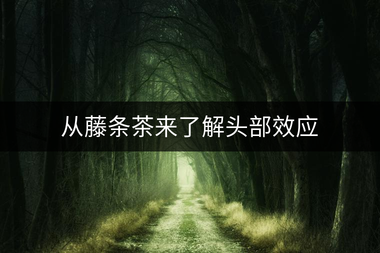 從藤條茶來了解頭部效應(yīng) 從藤條茶來了解頭部效應(yīng)