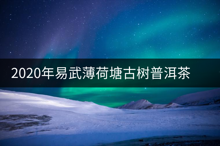 2020年易武薄荷塘古樹(shù)普洱茶特點(diǎn)，價(jià)格又上漲了嗎？