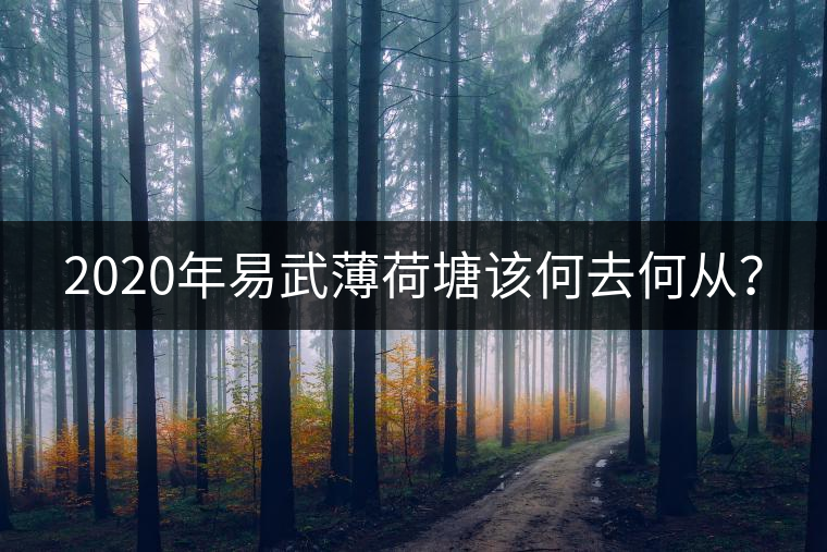 2020年易武薄荷塘該何去何從？