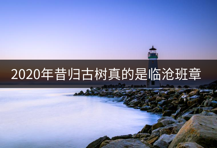 2020年昔歸古樹真的是臨滄班章嗎？
