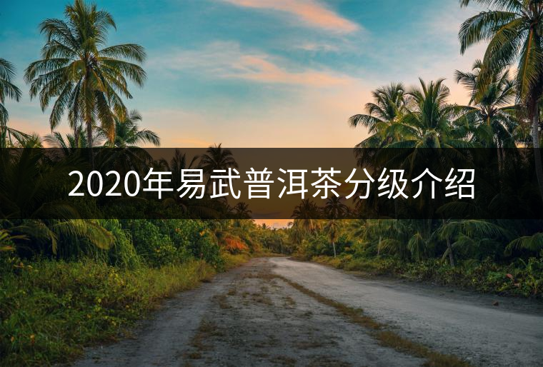 2020年易武普洱茶分級介紹 2020年易武普洱茶分級介紹