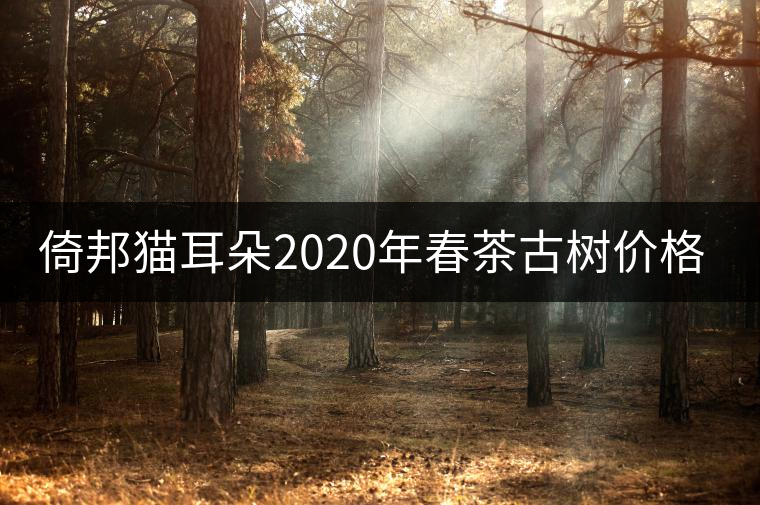 倚邦貓耳朵2020年春茶古樹價(jià)格特點(diǎn) 倚邦貓耳朵2020年春茶古樹價(jià)格特點(diǎn)