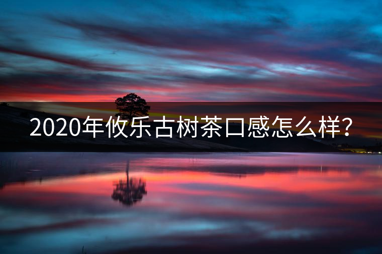 2020年攸樂(lè)古樹(shù)茶口感怎么樣？