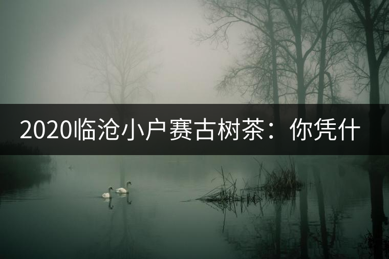 2020臨滄小戶賽古樹茶：你憑什么當(dāng)冰島賣？